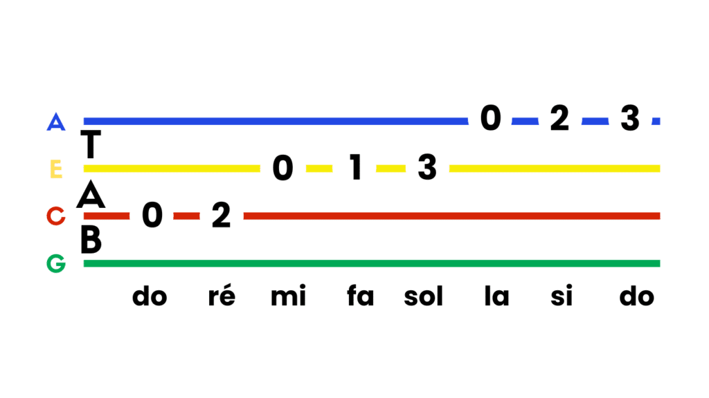 Les cordes de couleurs pour ukulélé
