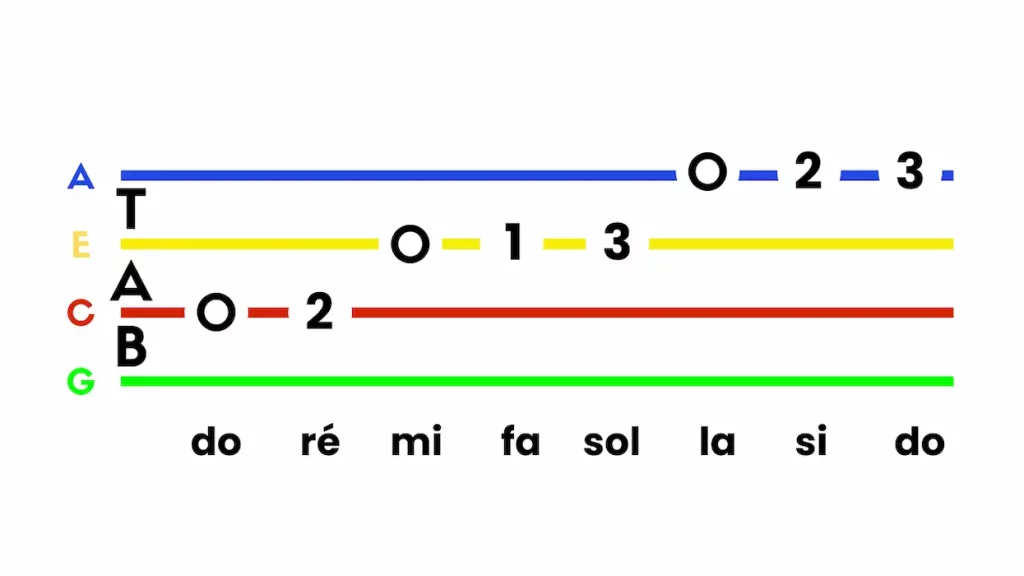 Les cordes de ukulélé de couleurs 6 Les cordes de ukulélé de couleurs
