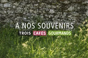 a nos souvenir ukulélé